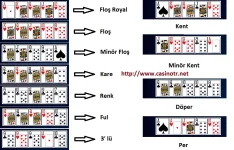 1612832350765.webp 1612832350765.webp