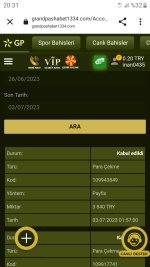 Screenshot_20230703-203152_Chrome.jpg