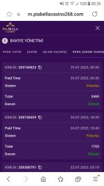 Screenshot_20230729-003604_Samsung Internet.jpg