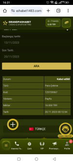 Screenshot_20231120-163150.png