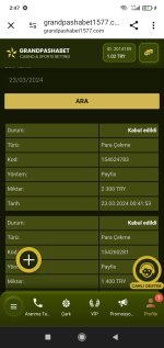 Screenshot_2024-03-23-02-47-31-637_com.android.chrome.jpg