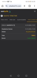 Screenshot_20241015_022819_com.android.chrome.jpg