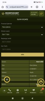 Screenshot_2024-11-10-22-26-53-452_com.android.chrome.jpg