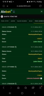 Screenshot_20241111_131816_Samsung Internet.jpg