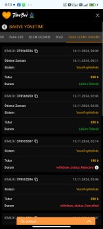 Screenshot_2024-11-16-00-13-18-246_com.android.chrome.jpg
