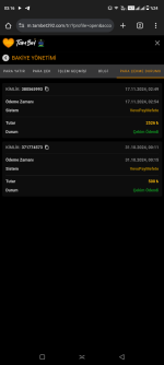 Screenshot_20241117-031625.png