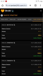 Screenshot_20241120-013757_Chrome.jpg