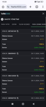 Screenshot_2024-11-30-19-04-15-304_com.android.chrome.jpg