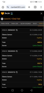 Screenshot_20241223_135129_com.android.chrome.jpg