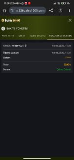 Screenshot_2025-01-03-11-30-57-105_com.android.chrome.jpg