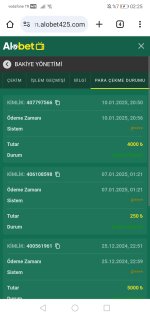 Screenshot_20250111_022555_com.android.chrome.jpg