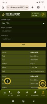 Screenshot_2025-03-16-20-16-16-831_com.android.chrome.jpg