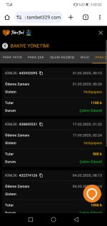 Screenshot_20250331_005225_com.android.chrome.jpg
