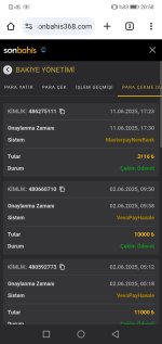 Screenshot_20250611_205835_com.android.chrome.jpg Screenshot_20250611_205835_com.android.chrome.jpg