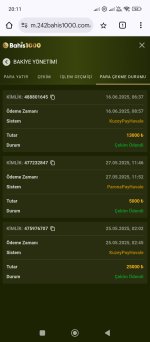 Screenshot_2025-06-16-20-11-31-097_com.android.chrome.jpg