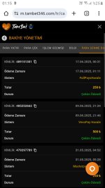 Screenshot_20250617-011527_Chrome.jpg