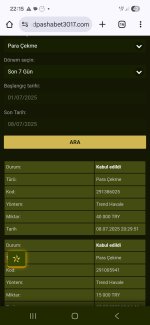 Screenshot_20250708_221547_Chrome.jpg